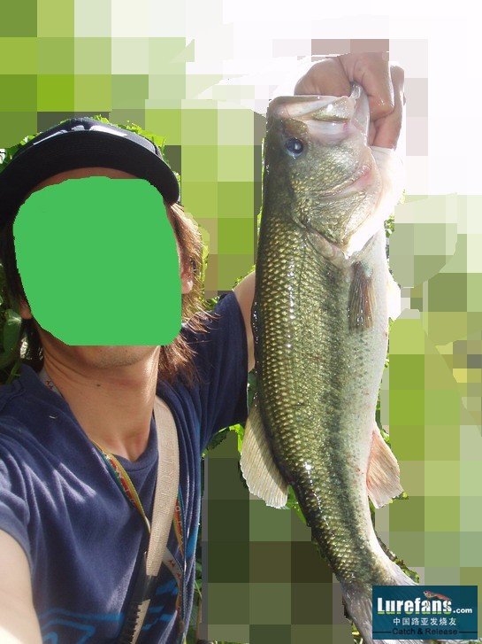 BASS   ĴָƤ
