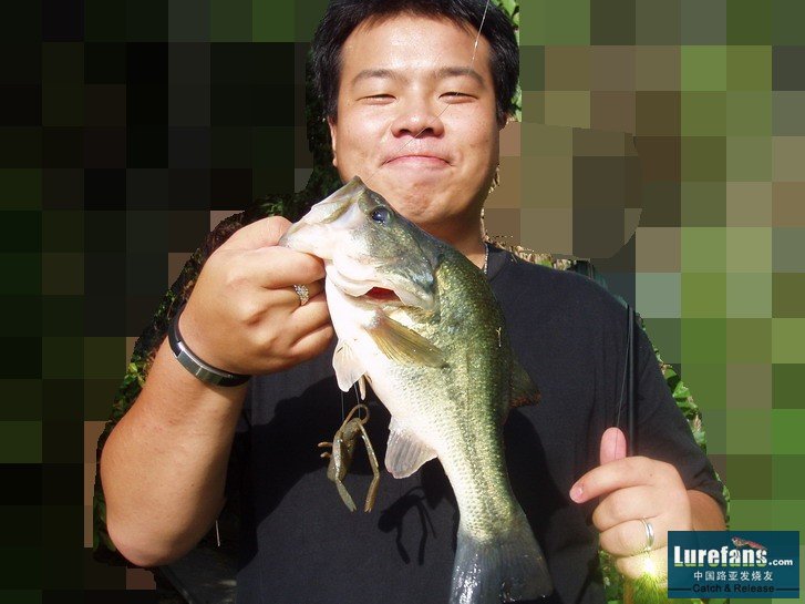 ^"BASS"    a~  
