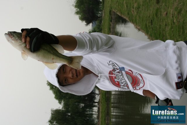 Ƭ 088.jpg