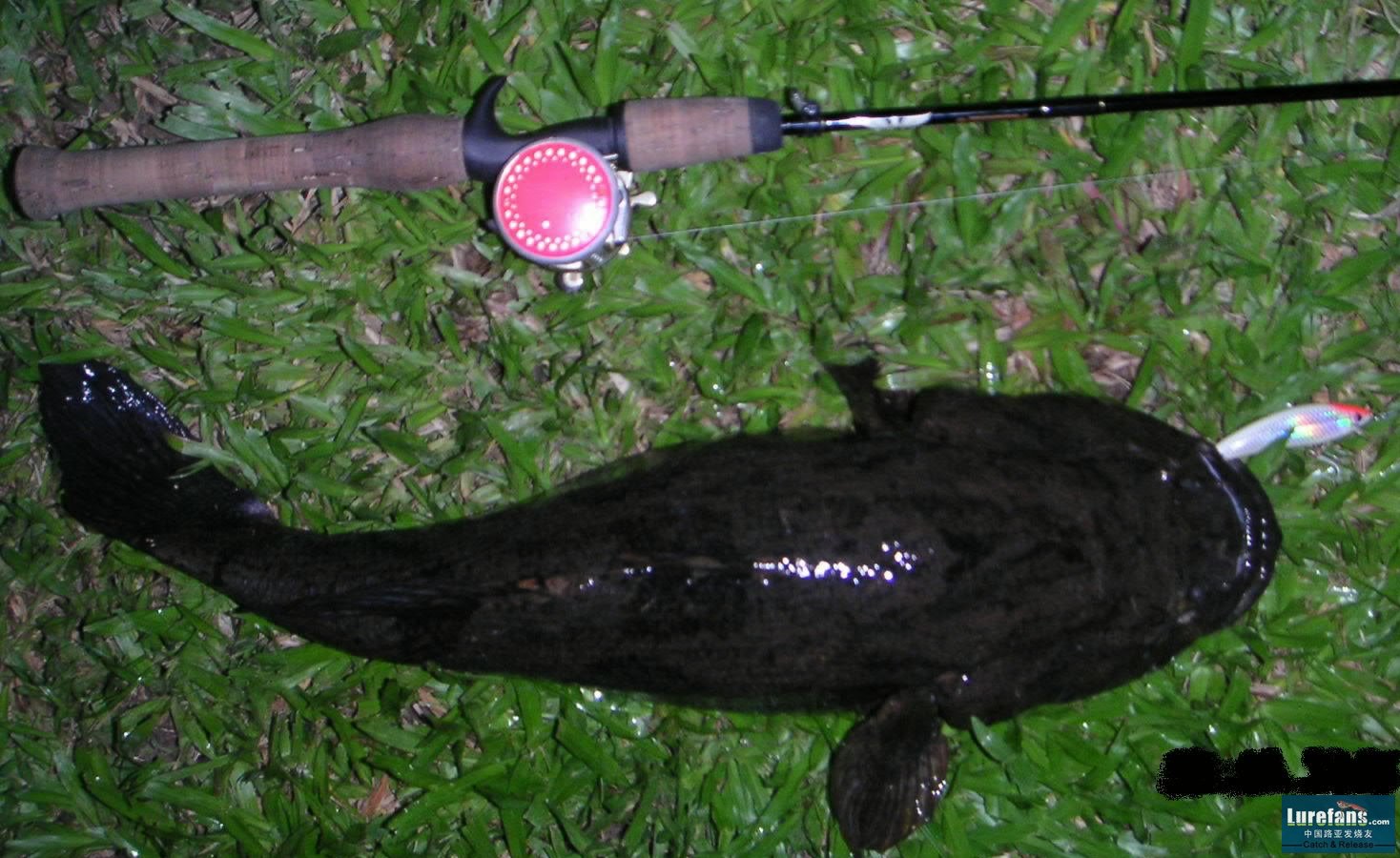 PICT3004-001.jpg