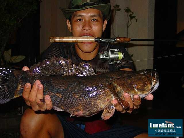 20070626_f1162561c881850cc3bfhDeaoDGgZ93a[1].jpg