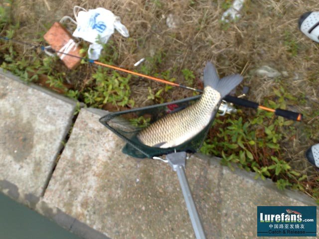 20070722050.jpg