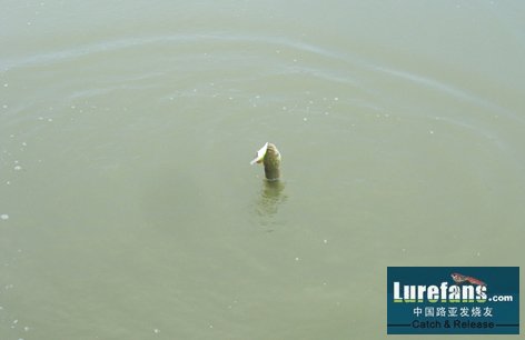 100_5239.jpg