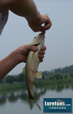 100_5238.jpg