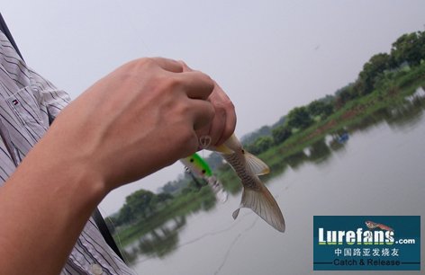 100_5252.jpg