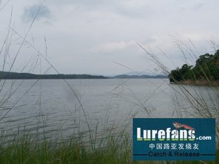 Ƭ 045.jpg