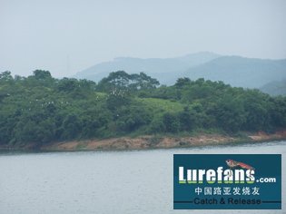 Ƭ 053.jpg