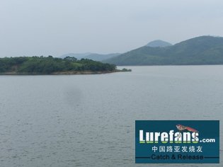Ƭ 054.jpg