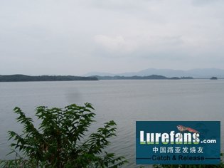 Ƭ 051.jpg