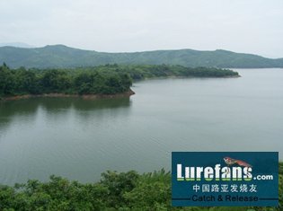 Ƭ 020.jpg