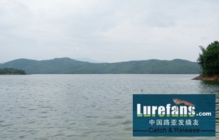 Ƭ 042.jpg