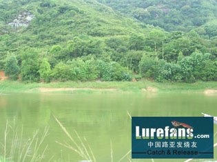 Ƭ 048.jpg