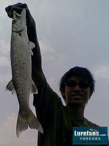 ap_20070827124843132.jpg