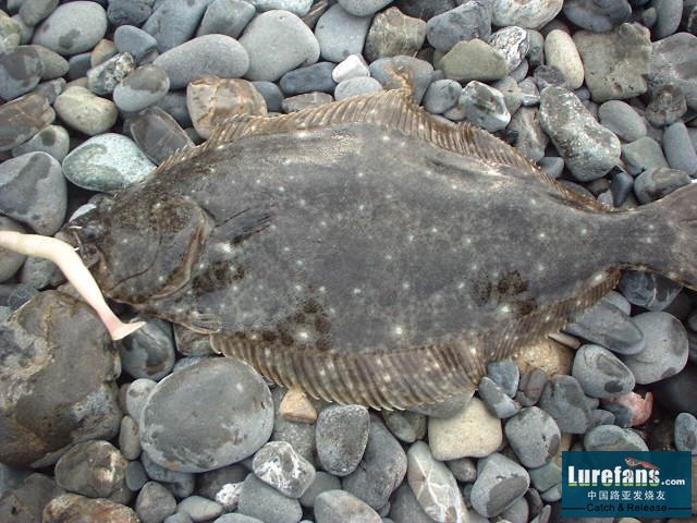 2006102703.jpg