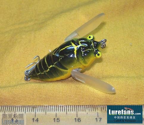 49_7_c8c398dbdeb4abf[1].jpg