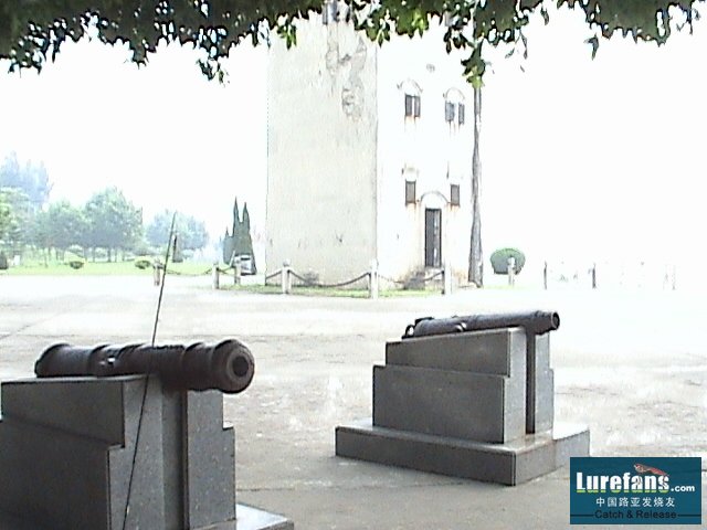 DSC00011.JPG