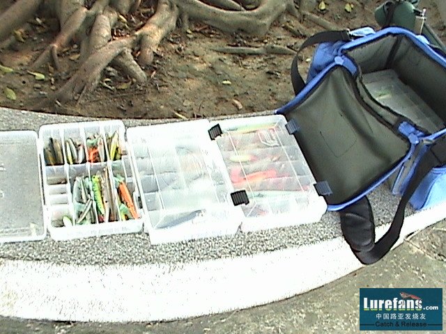 DSC00013.JPG