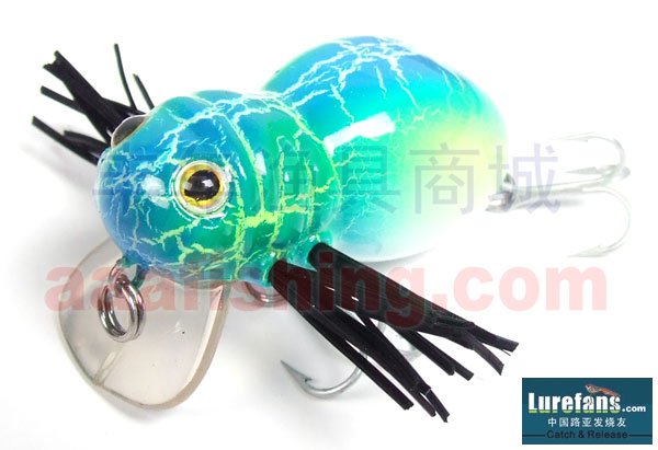 5277119achanxdslyer_02.jpg