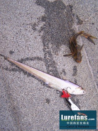 img008.jpg