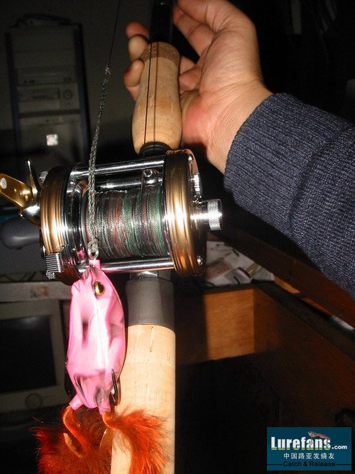 08.jpg