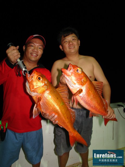 DSC07853.JPG
