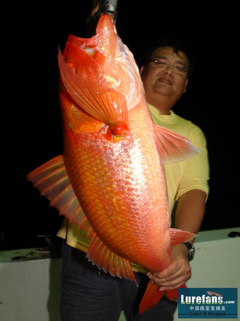 DSC07854.JPG