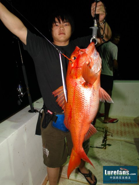 DSC07860.JPG