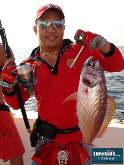 DSC07830.JPG