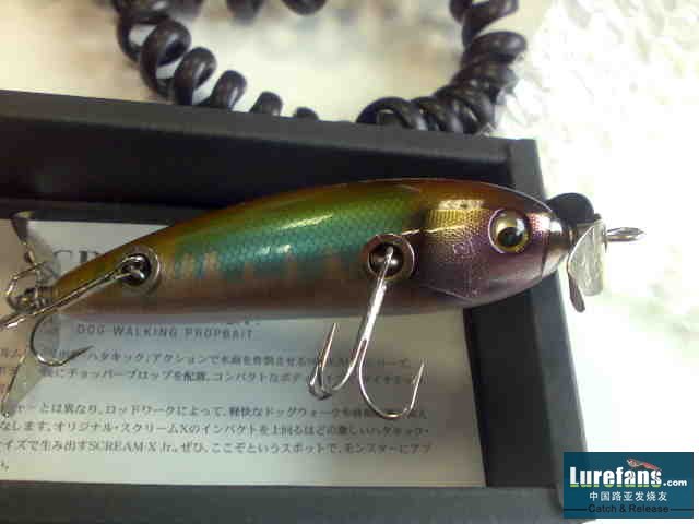 20080411246.jpg
