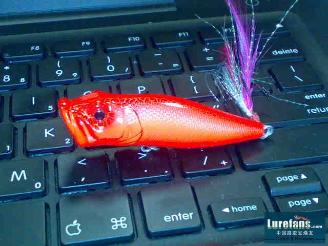 20080416251.jpg
