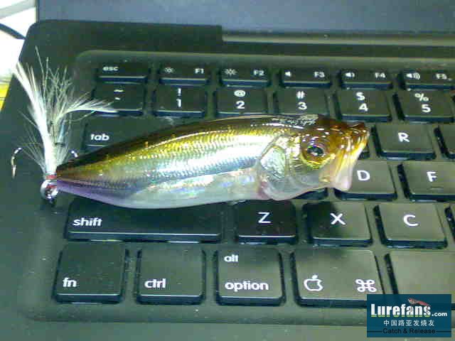 20080416250.jpg