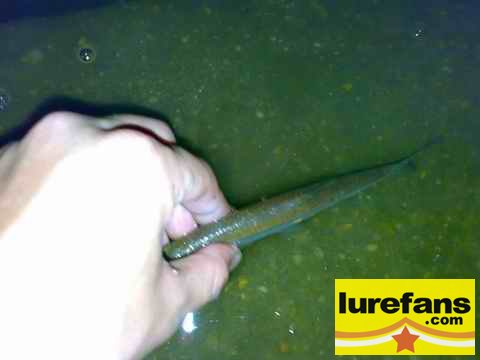 20080507236.jpg