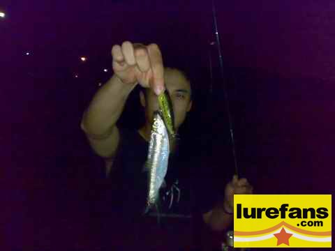 20080507223.jpg