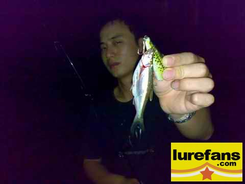 20080507226.jpg