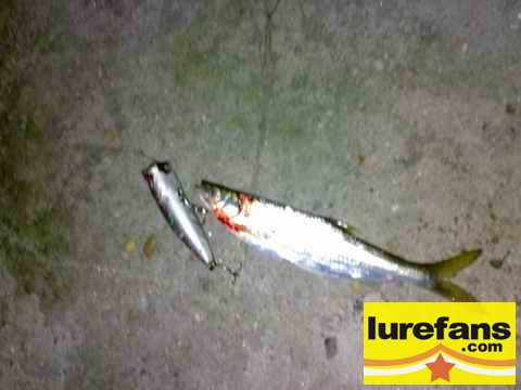 20080507240.jpg