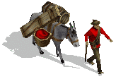 1355_mqfP_1.gif