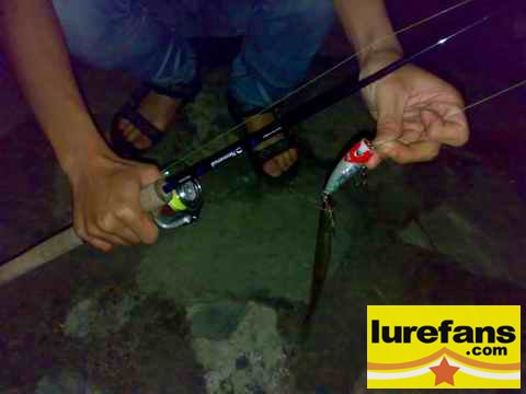 20080514278.jpg