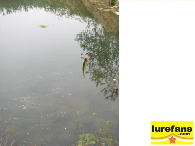Ƭ 053.jpg