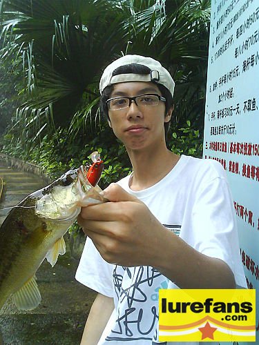 ap_20080601115437512.jpg