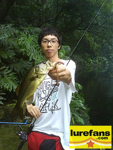 ap_20080601115337476.jpg