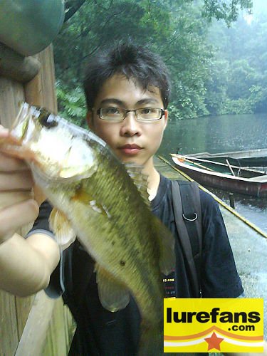 ap_20080601115430760.jpg