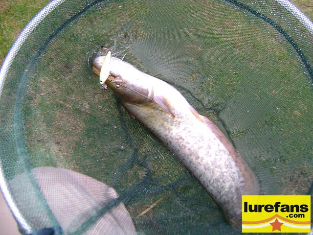 DSC00262G.jpg