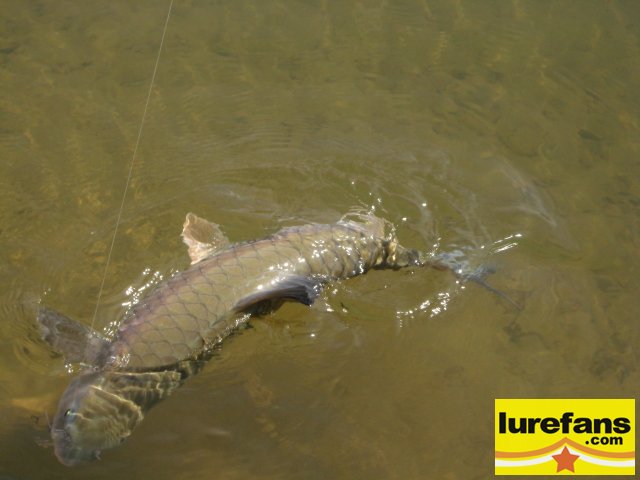 20080513_a36438fe12422bf2cb29XvhXok6PH1Rt.jpg