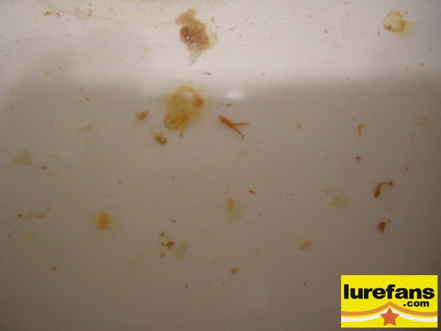 DSCN1312.jpg