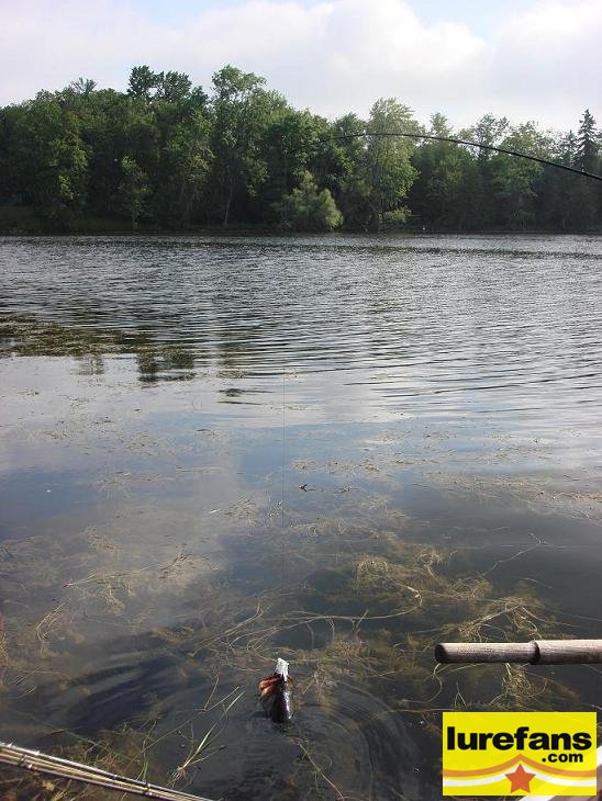 20080720_025318_10.jpg