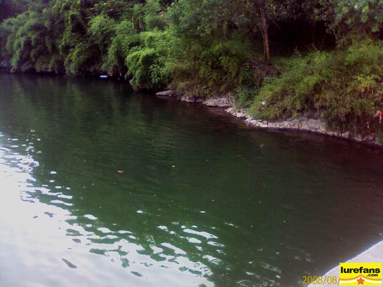 20080817_oϪ~-2.jpg
