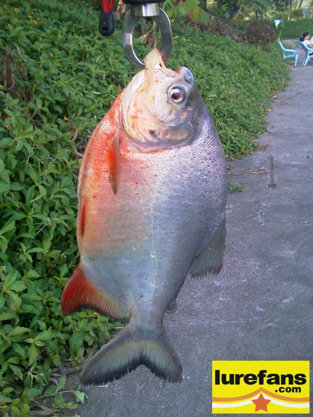 IMAG0149.jpg