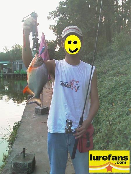 IMAG0153.jpg