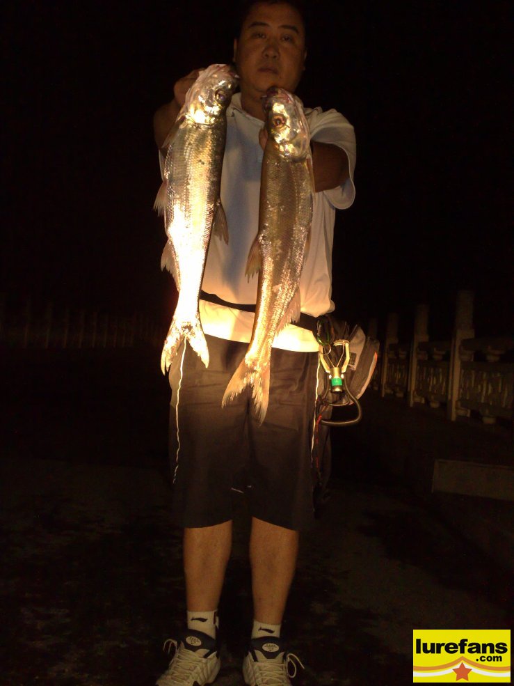 20080903242.jpg