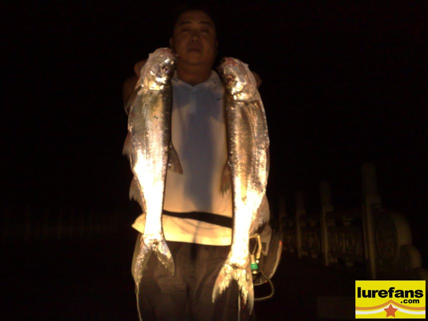 20080903243.jpg